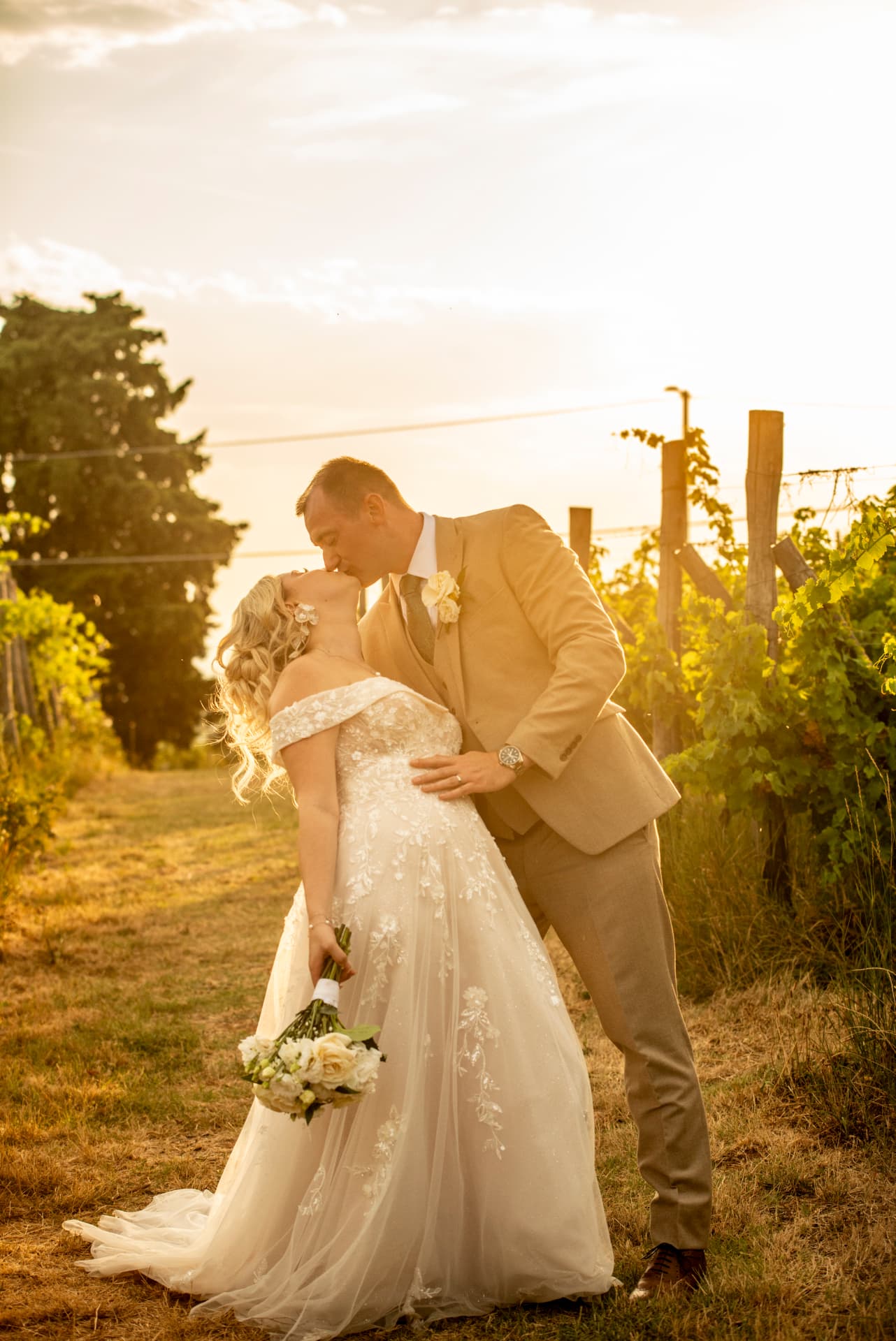 A bride and groom sharing a kiss at sunset in a golden vineyard