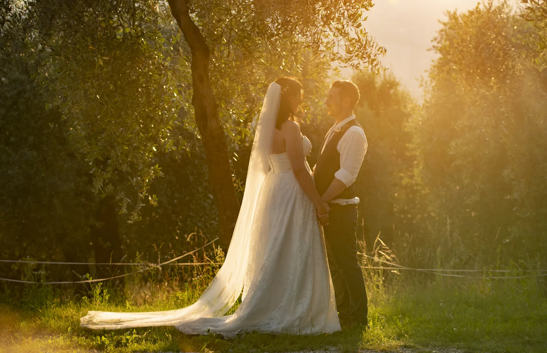 A couple embracing in an olive grove at golden hour