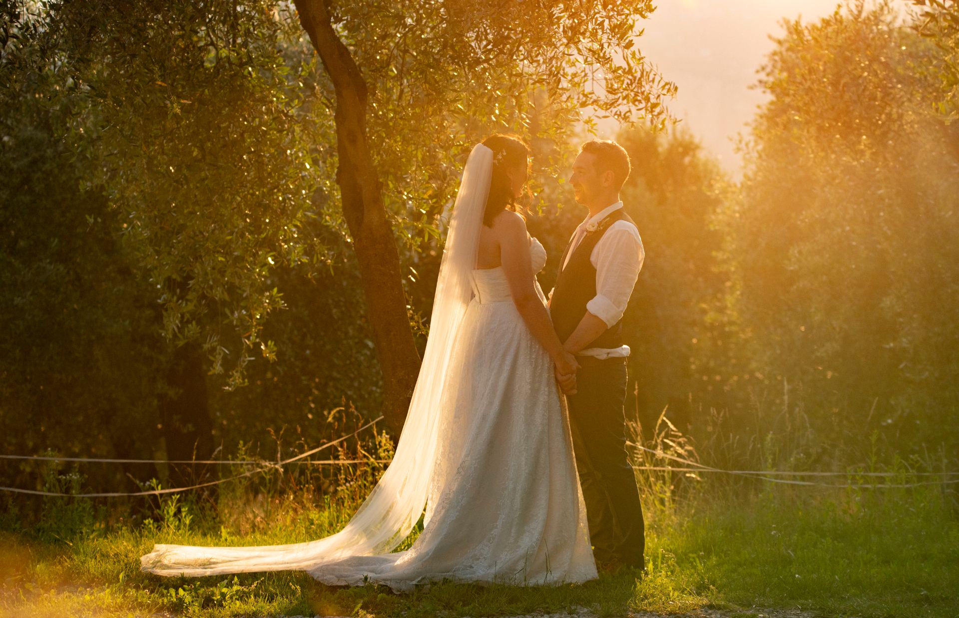 A couple in a sunlit Italian olive grove