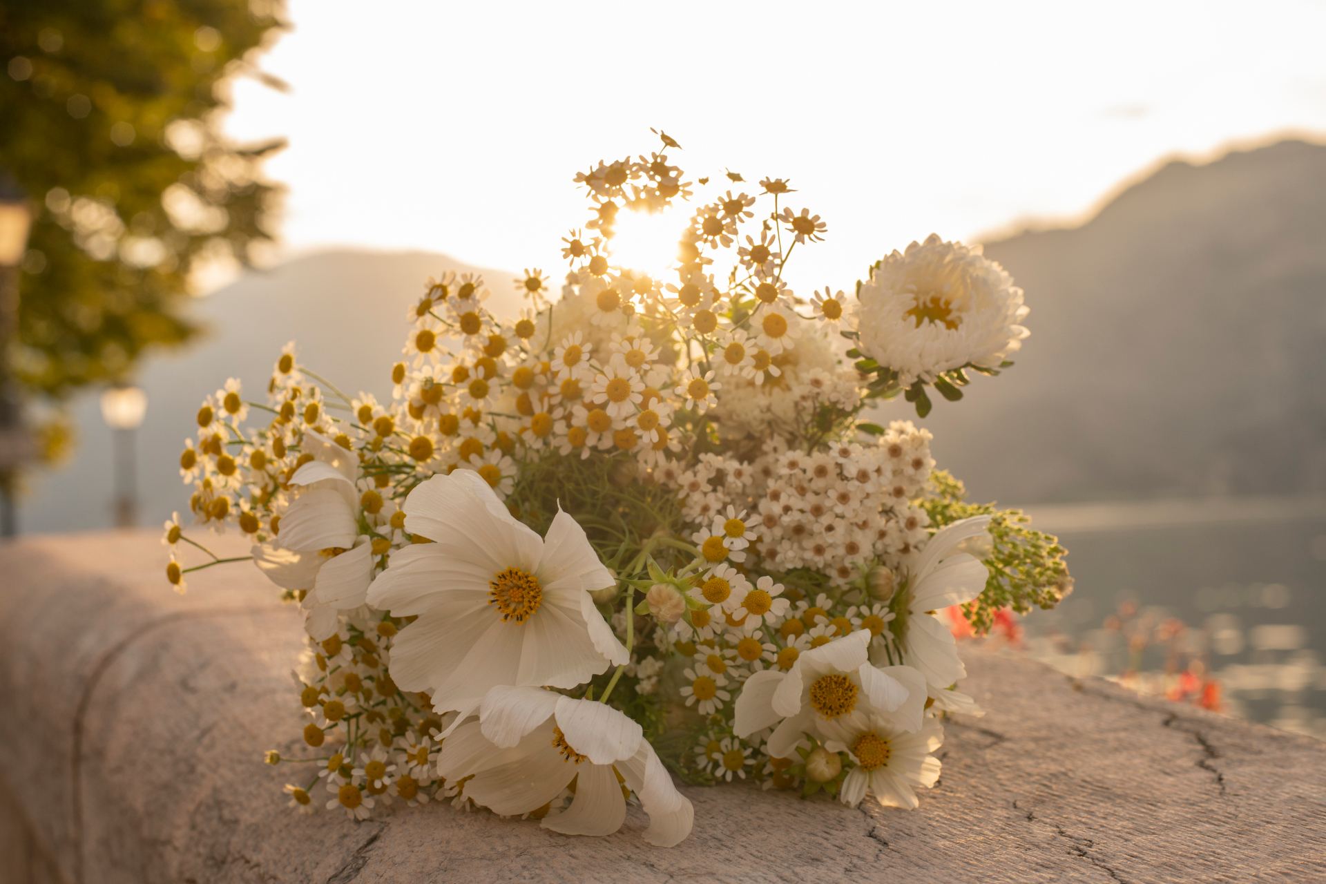 Wedding flowers glowing in warm sunset light
